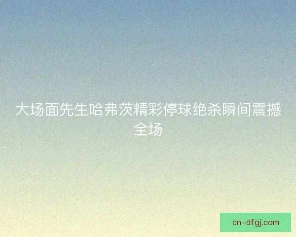 大场面先生哈弗茨精彩停球绝杀瞬间震撼全场