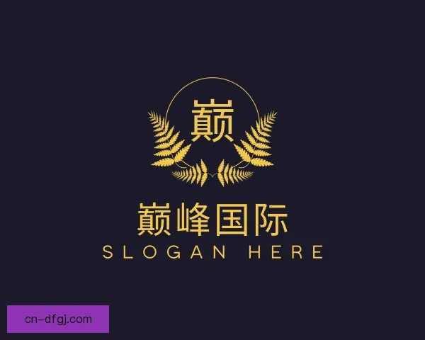 介绍巅峰国际